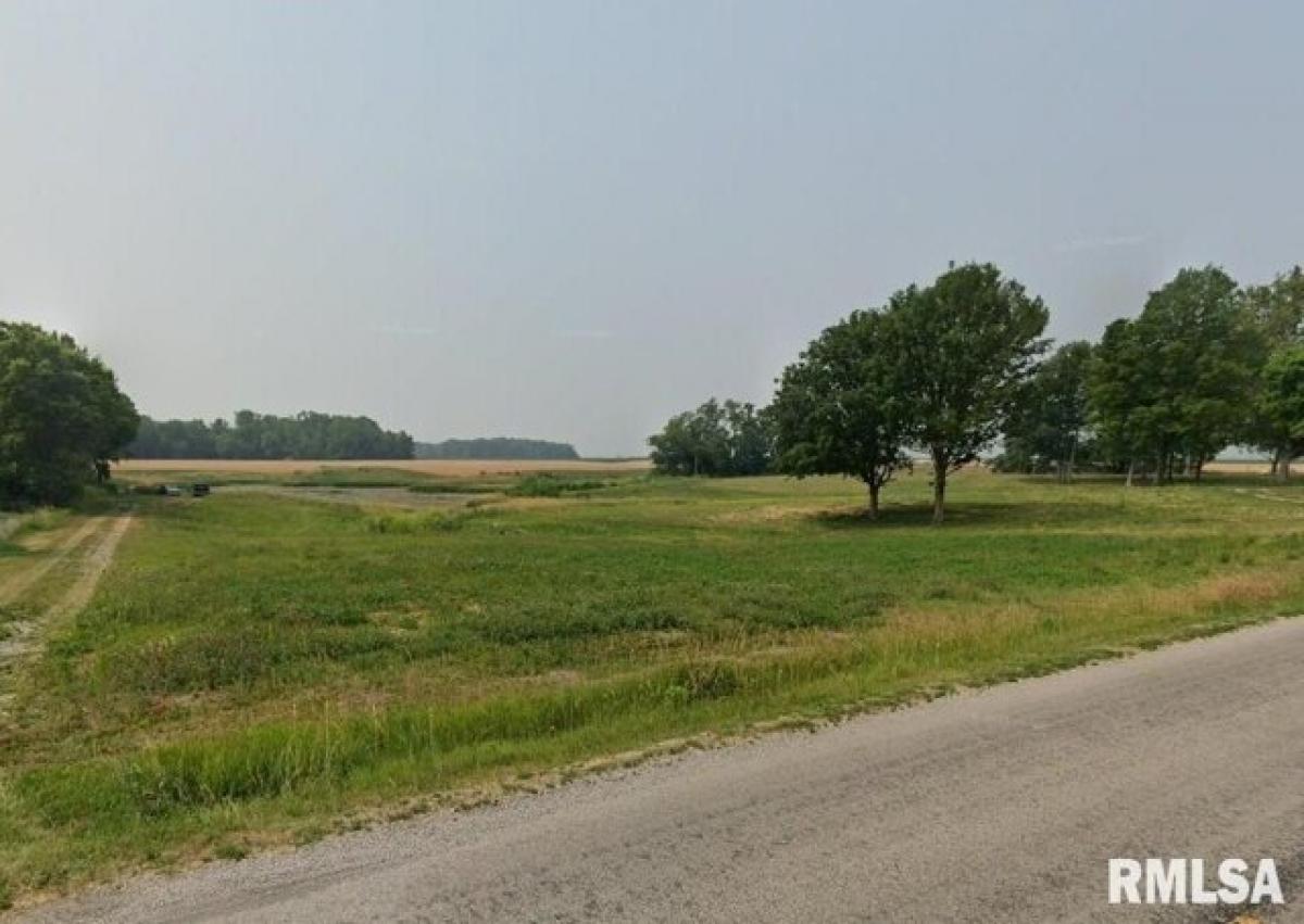 Picture of Residential Land For Sale in Petersburg, Illinois, United States