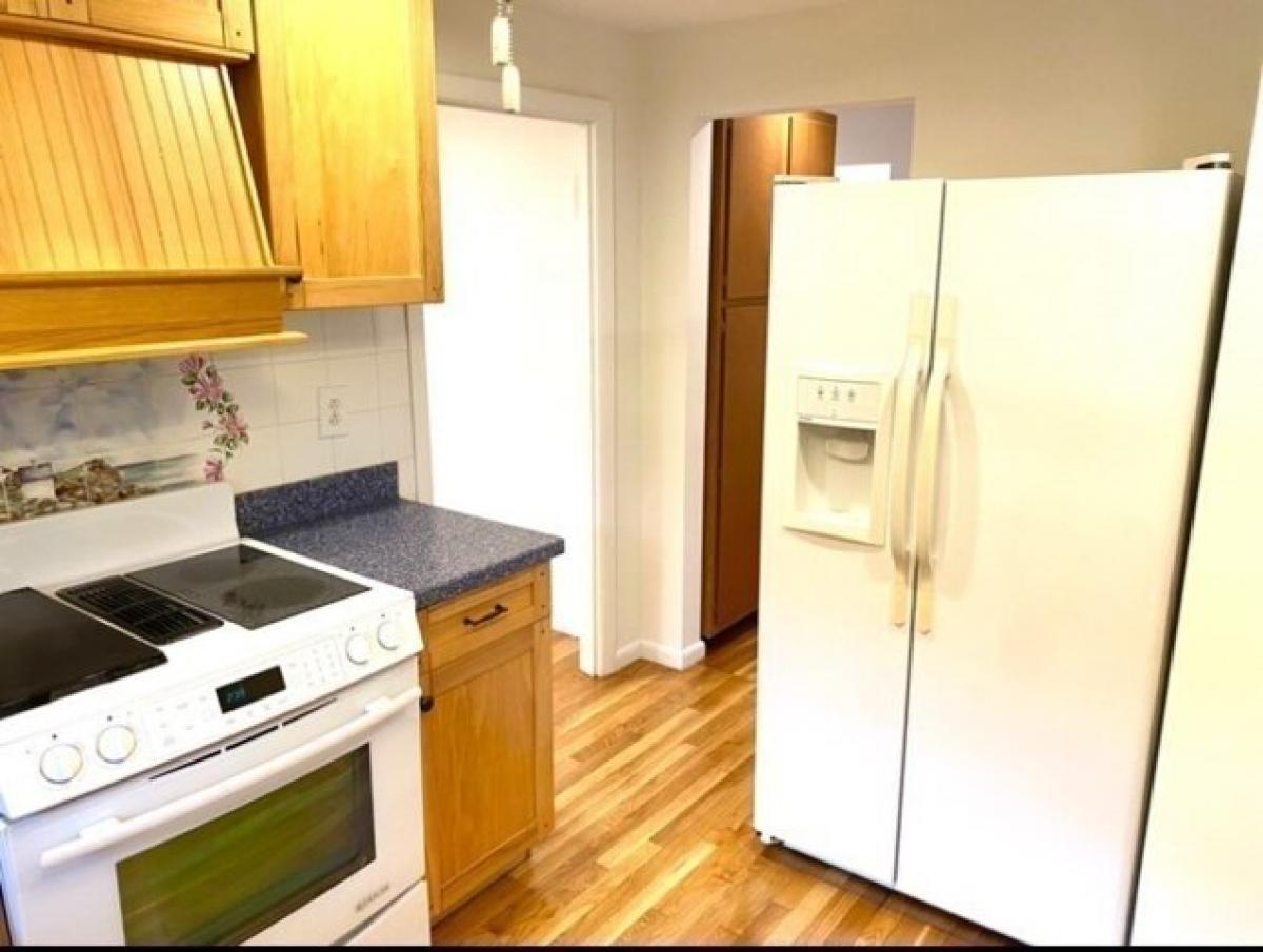 Picture of Apartment For Rent in Newton, Massachusetts, United States