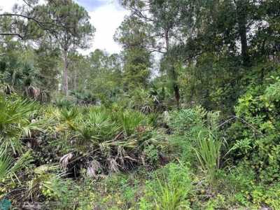 Residential Land For Sale in Fellsmere, Florida