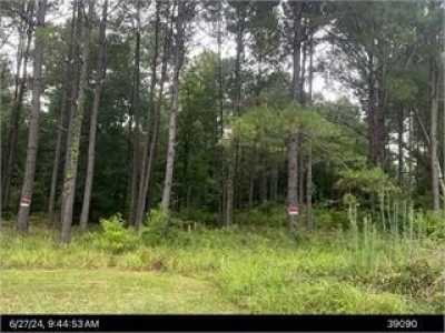 Residential Land For Sale in Albany, Georgia