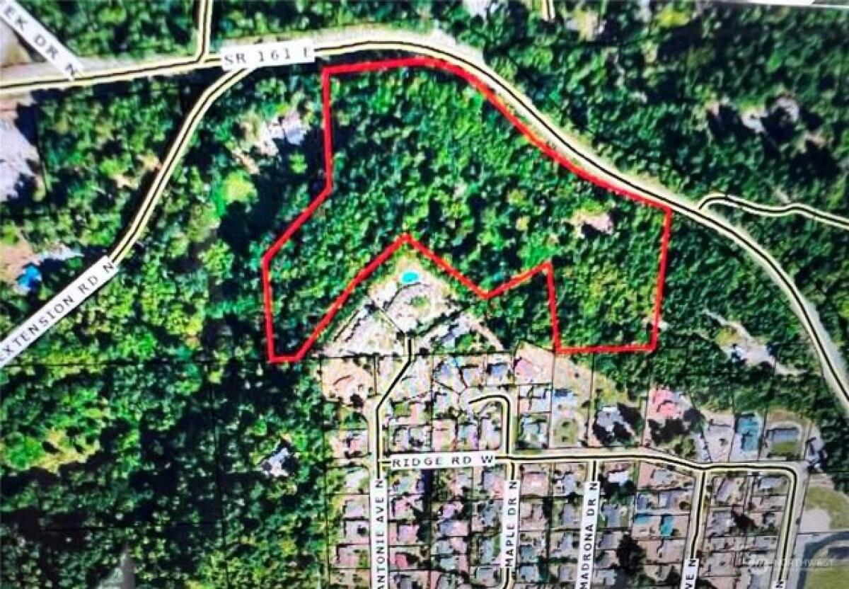 Picture of Residential Land For Sale in Eatonville, Washington, United States