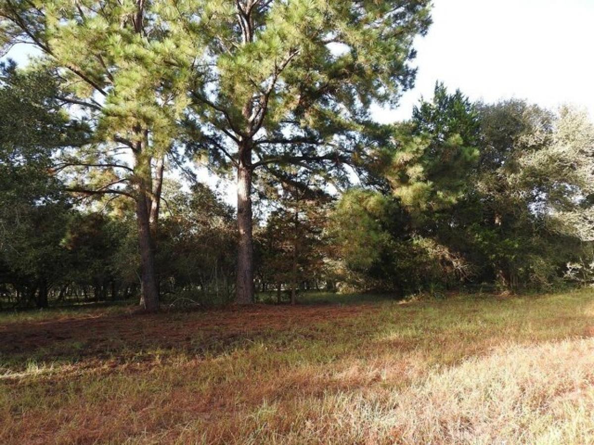 Picture of Residential Land For Sale in Hallettsville, Texas, United States