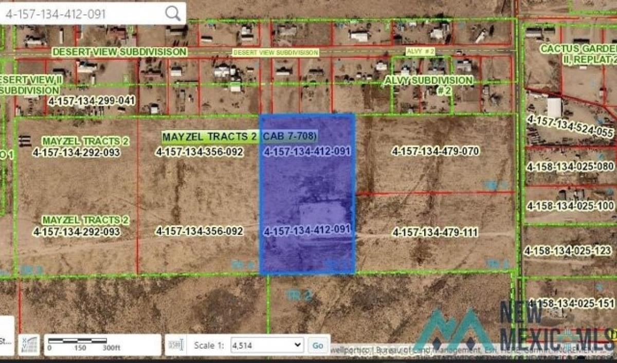 Picture of Residential Land For Sale in Carlsbad, New Mexico, United States