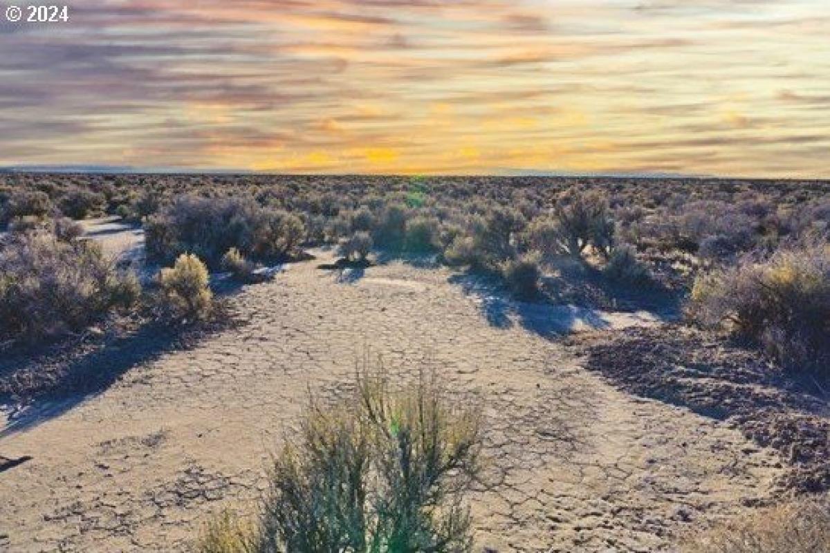 Picture of Residential Land For Sale in Christmas Valley, Oregon, United States