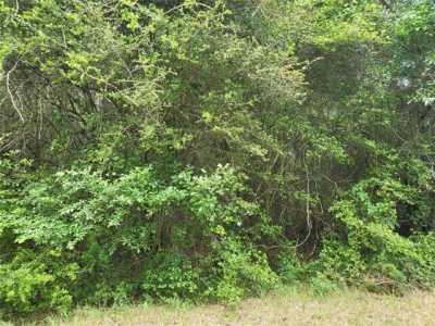 Residential Land For Sale in New Ulm, Texas