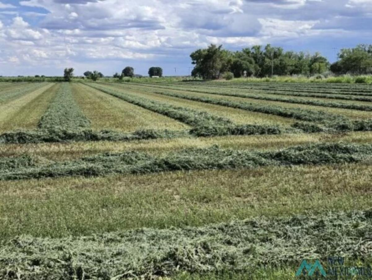 Picture of Residential Land For Sale in Fort Sumner, New Mexico, United States