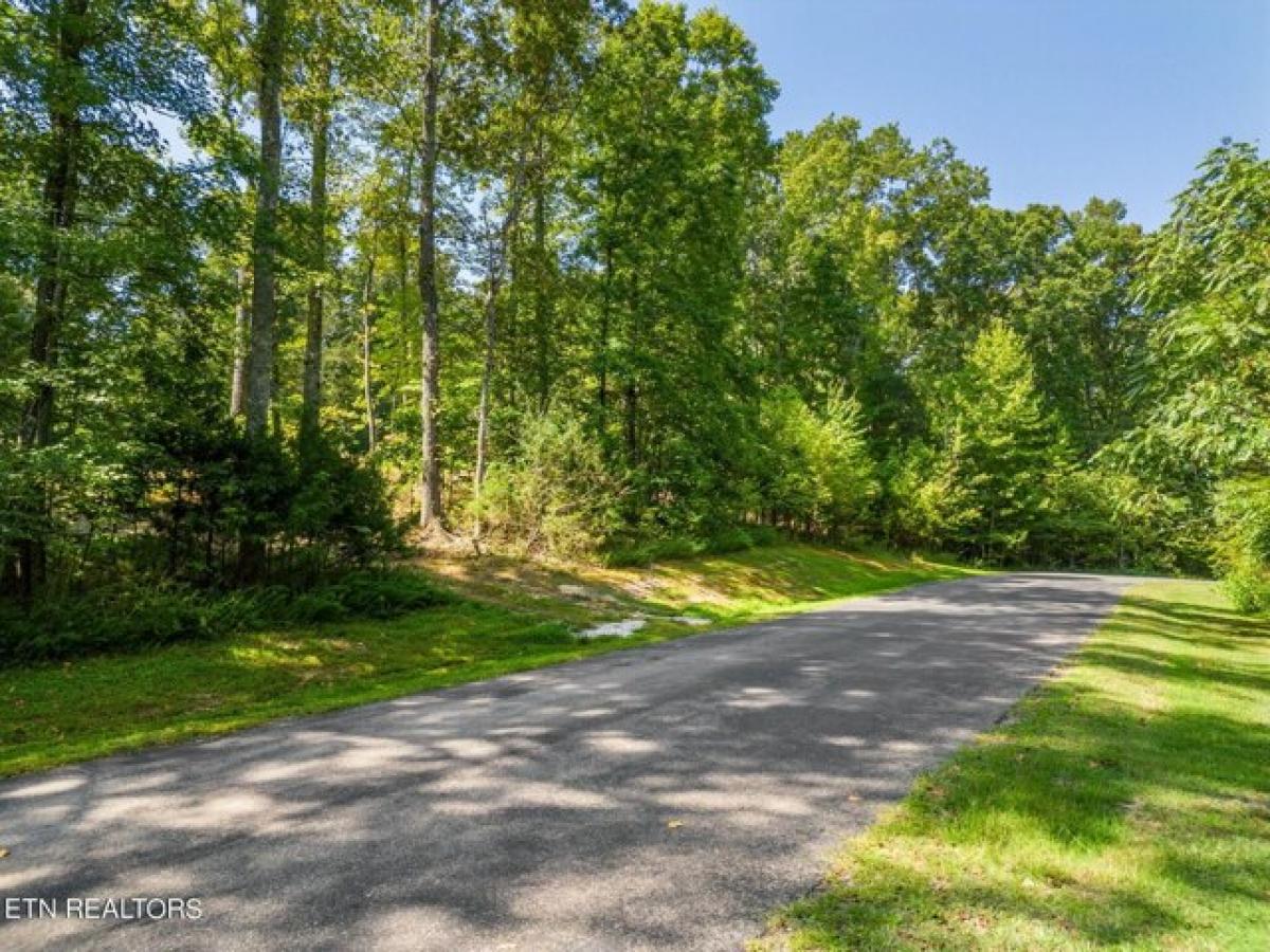 Picture of Residential Land For Sale in Rockwood, Tennessee, United States