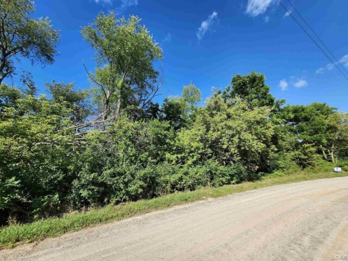 Picture of Residential Land For Rent in Jerome, Michigan, United States