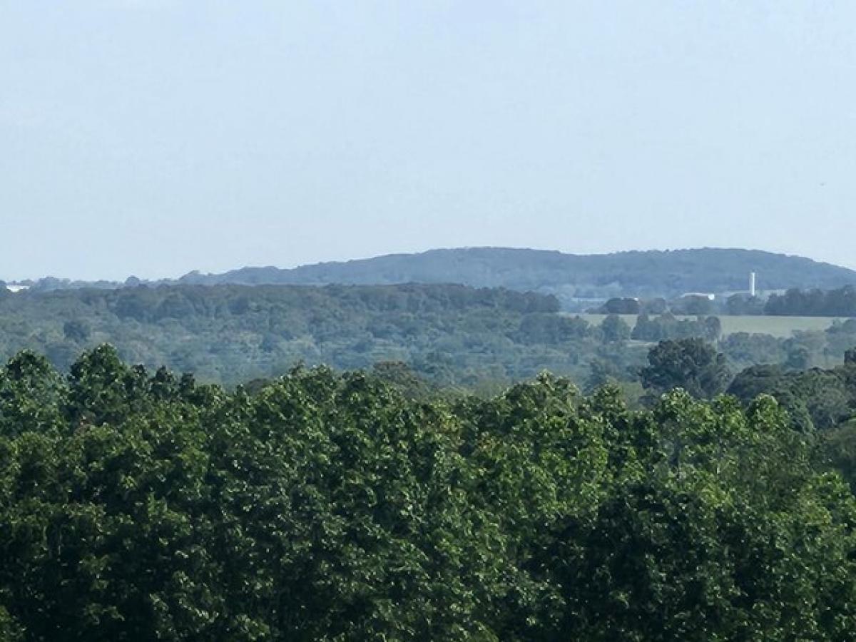 Picture of Residential Land For Sale in Mountain Grove, Missouri, United States