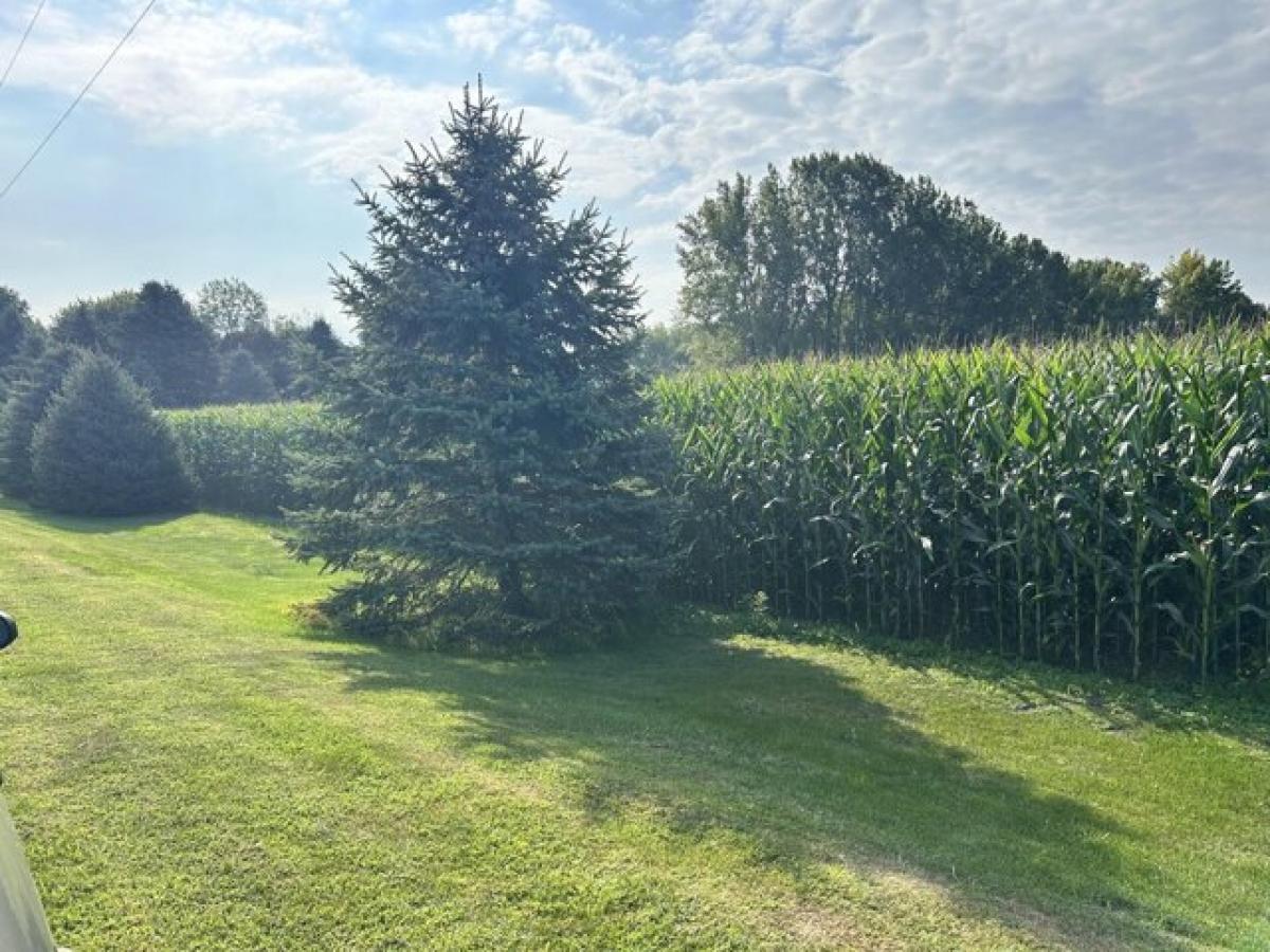 Picture of Residential Land For Sale in Baroda, Michigan, United States