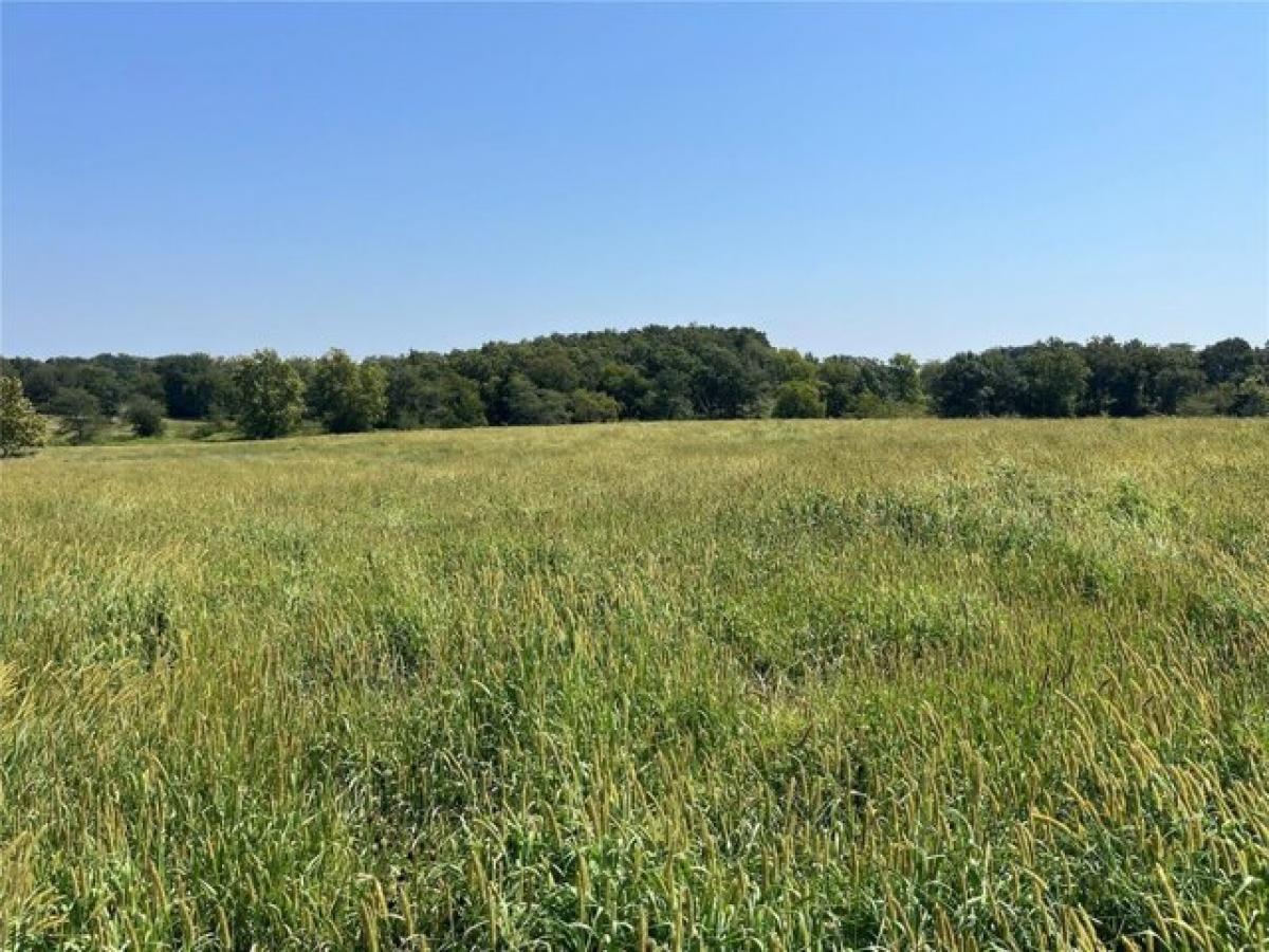 Picture of Residential Land For Sale in Old Monroe, Missouri, United States