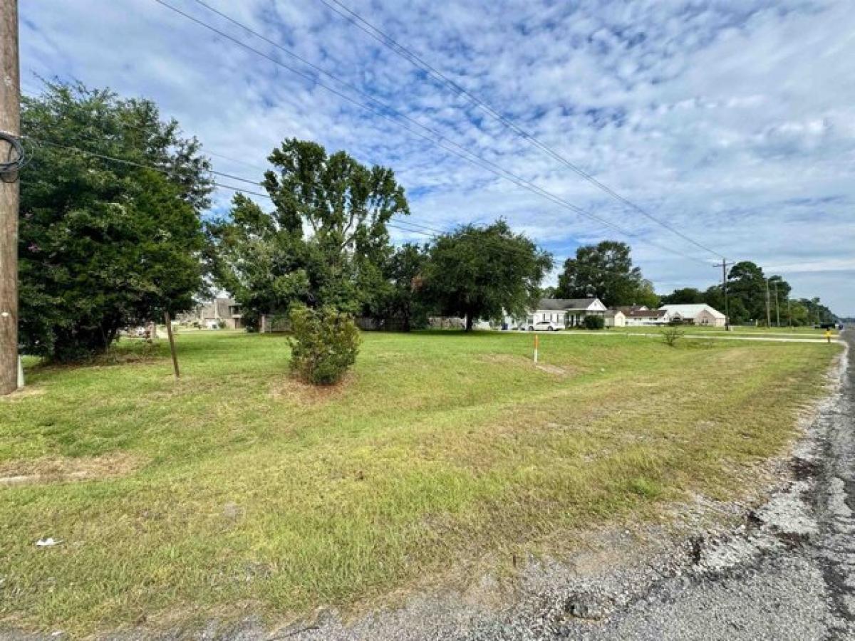 Picture of Residential Land For Sale in Lumberton, Texas, United States