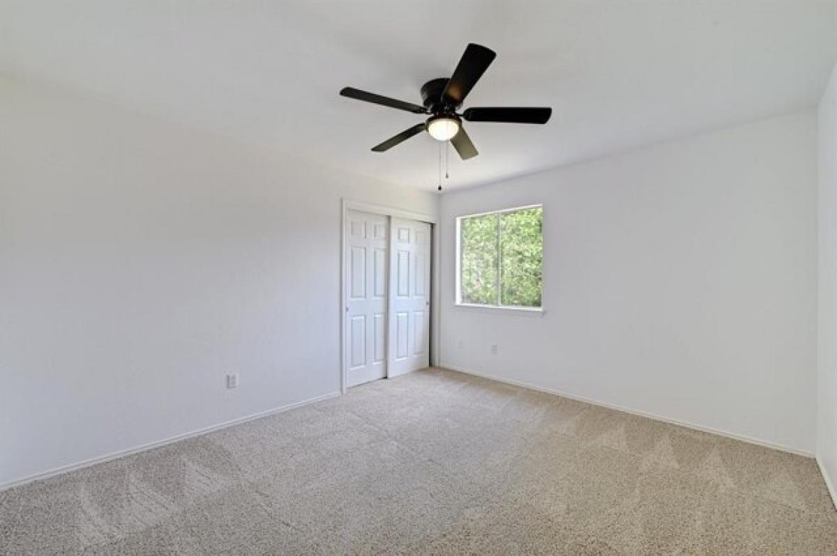 Picture of Home For Rent in Cedar Park, Texas, United States