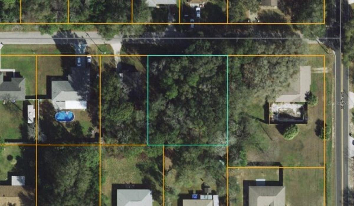 Picture of Residential Land For Sale in Summerfield, Florida, United States