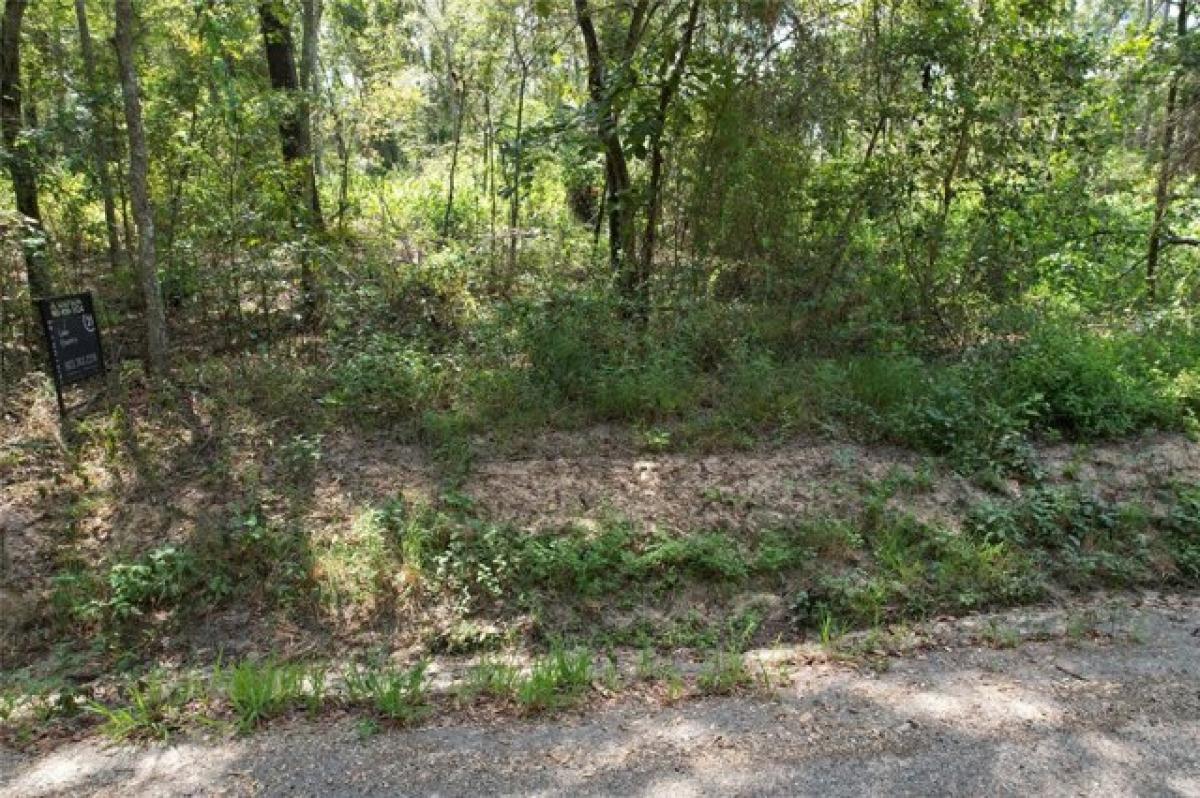 Picture of Residential Land For Sale in Winnsboro, Texas, United States