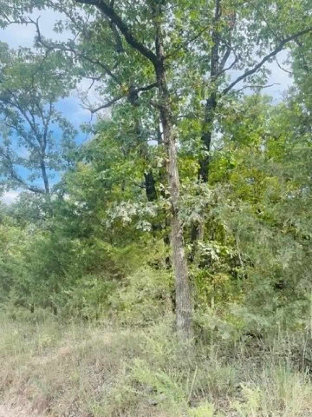 Picture of Residential Land For Sale in Owensville, Missouri, United States