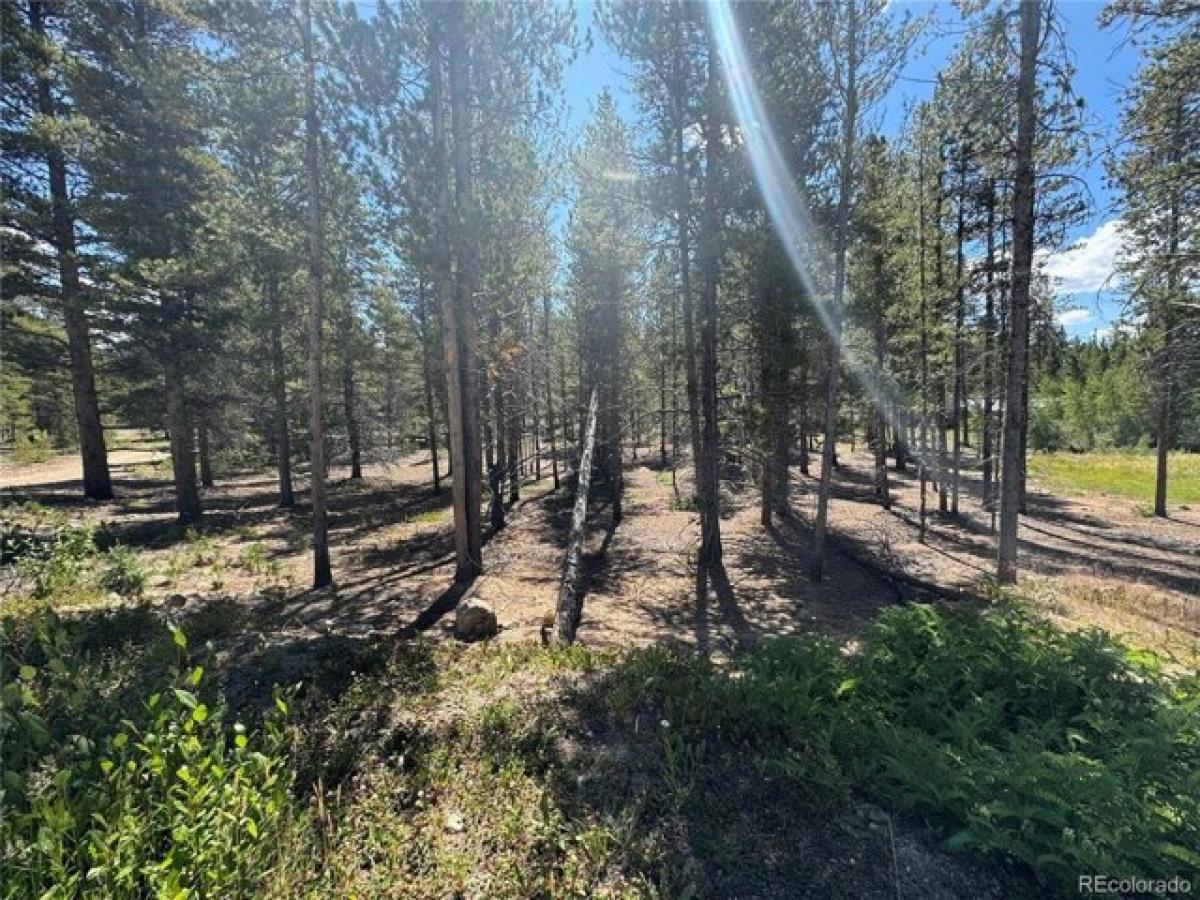 Picture of Residential Land For Sale in Leadville, Colorado, United States