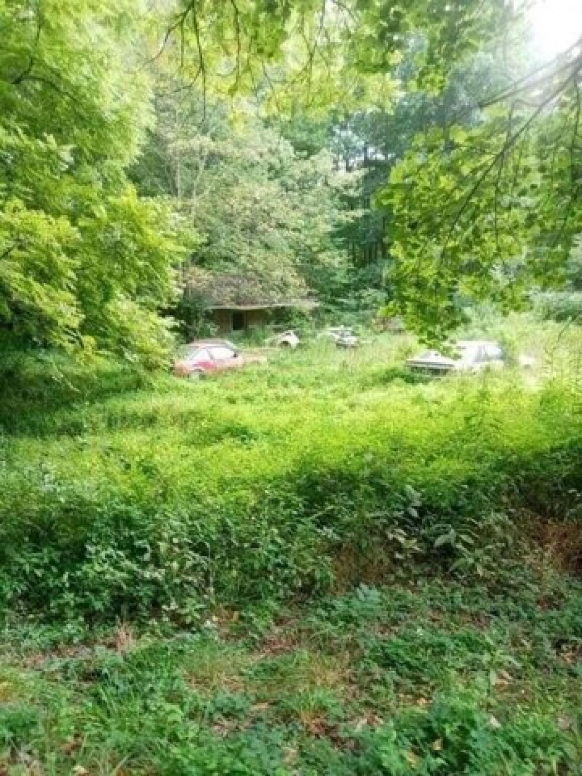 Picture of Residential Land For Rent in Clearfield, Kentucky, United States