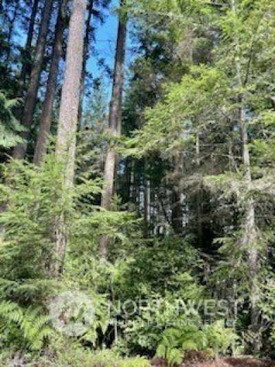 Residential Land For Sale in Greenbank, Washington