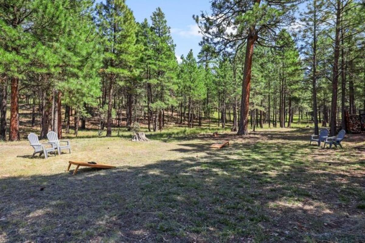 Picture of Home For Sale in Happy Jack, Arizona, United States