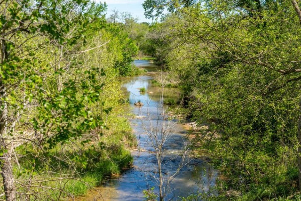 Picture of Residential Land For Sale in Fredericksburg, Texas, United States