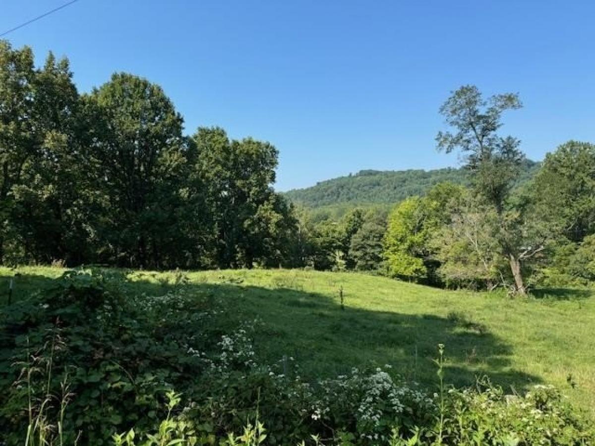 Picture of Residential Land For Sale in Cana, Virginia, United States