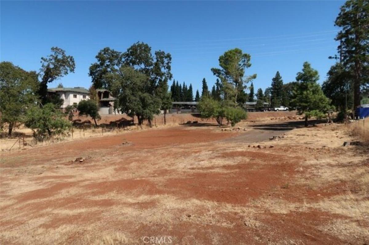 Picture of Residential Land For Sale in Paradise, California, United States