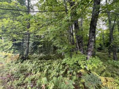 Residential Land For Sale in Iron River, Michigan