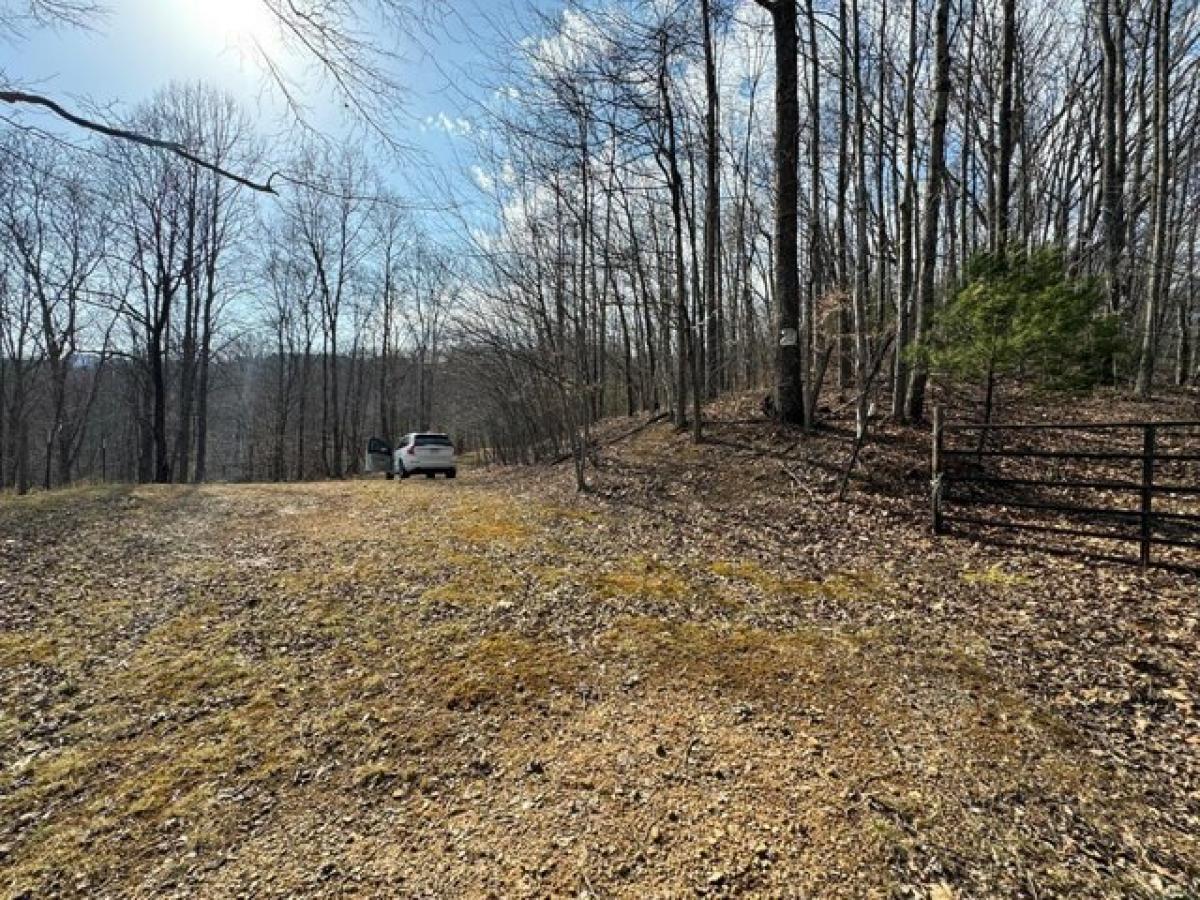 Picture of Residential Land For Sale in Mount Hope, West Virginia, United States