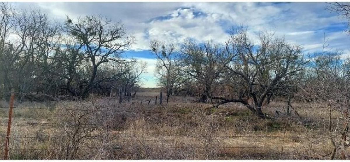 Picture of Residential Land For Sale in May, Texas, United States