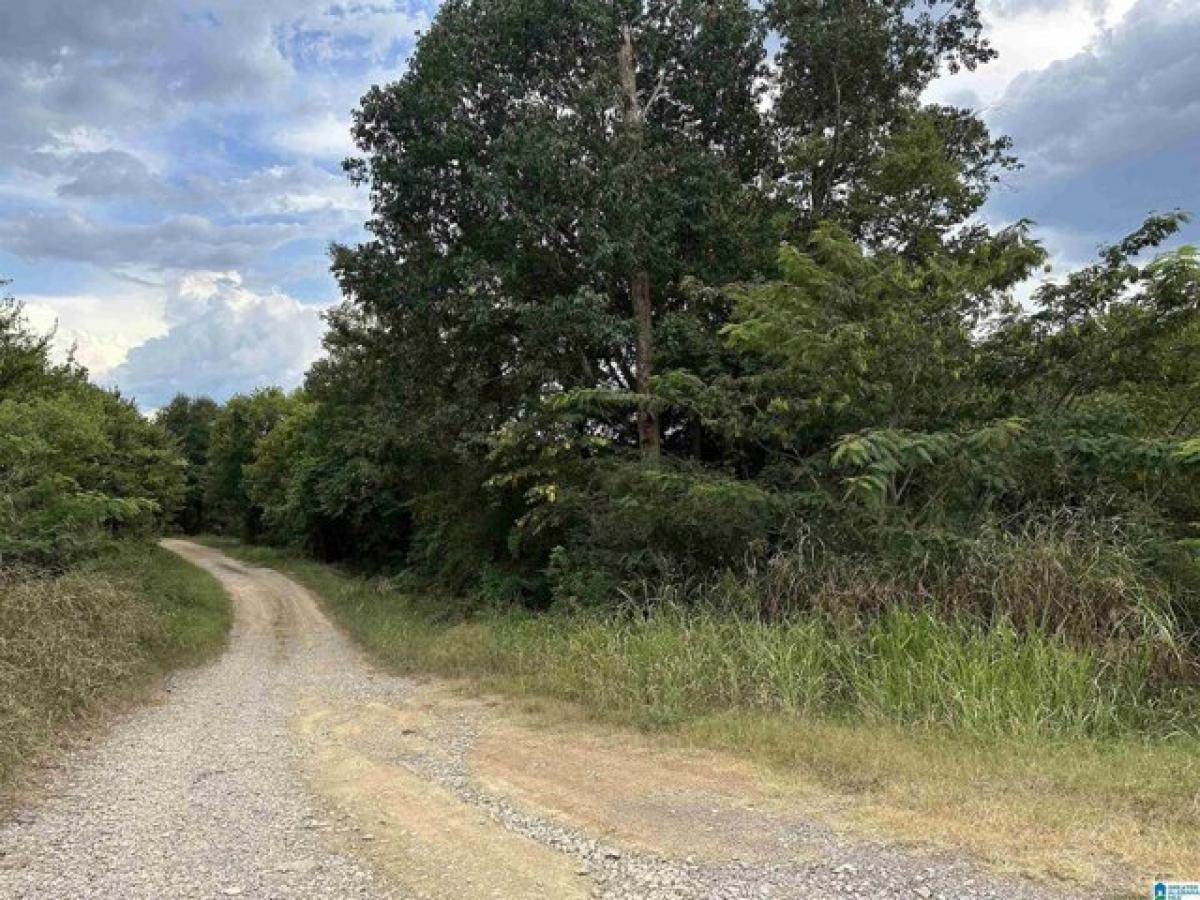 Picture of Residential Land For Sale in Fultondale, Alabama, United States