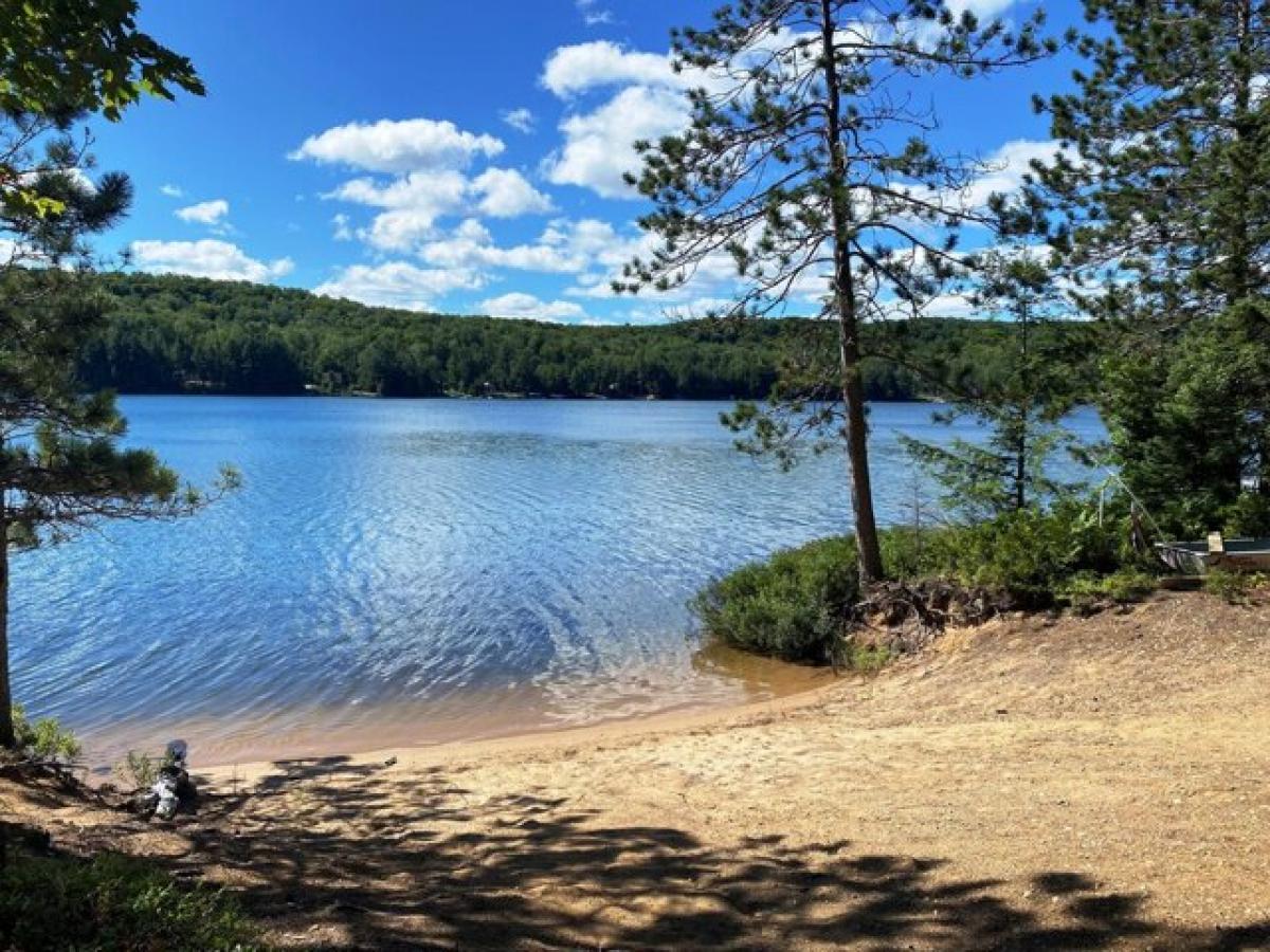 Picture of Residential Land For Sale in Eckerman, Michigan, United States