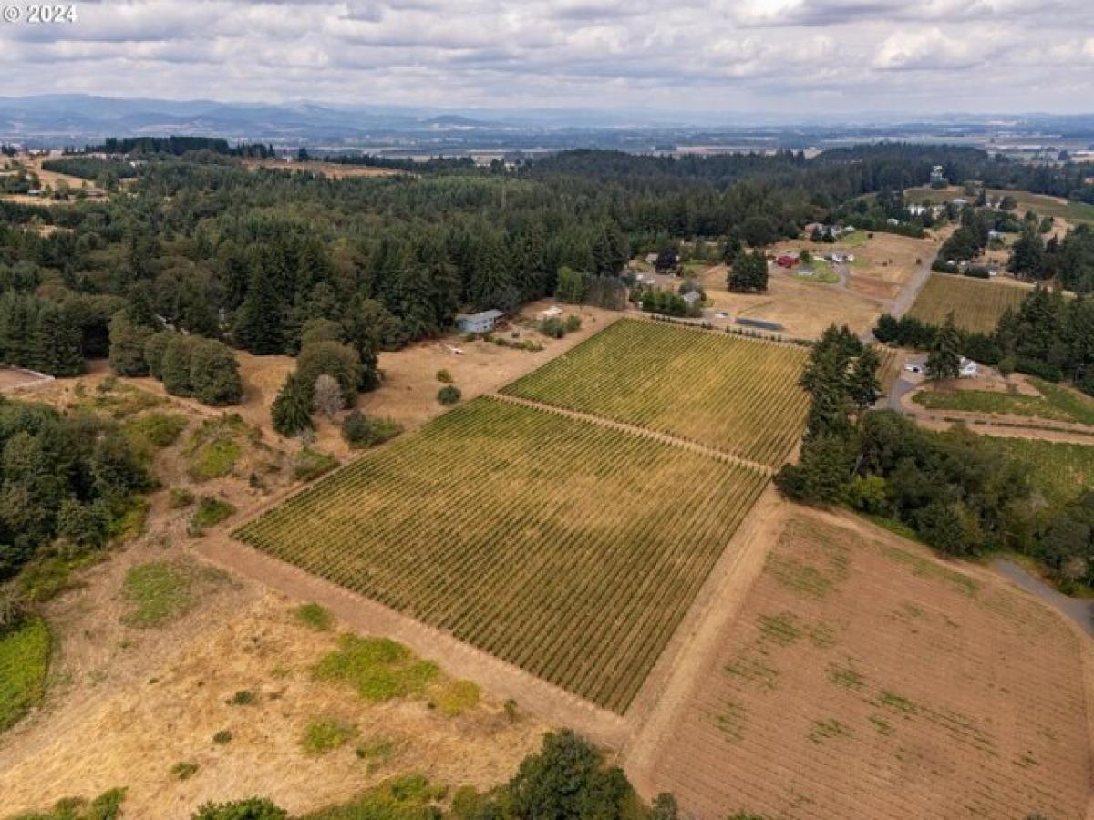 Picture of Residential Land For Sale in Amity, Oregon, United States