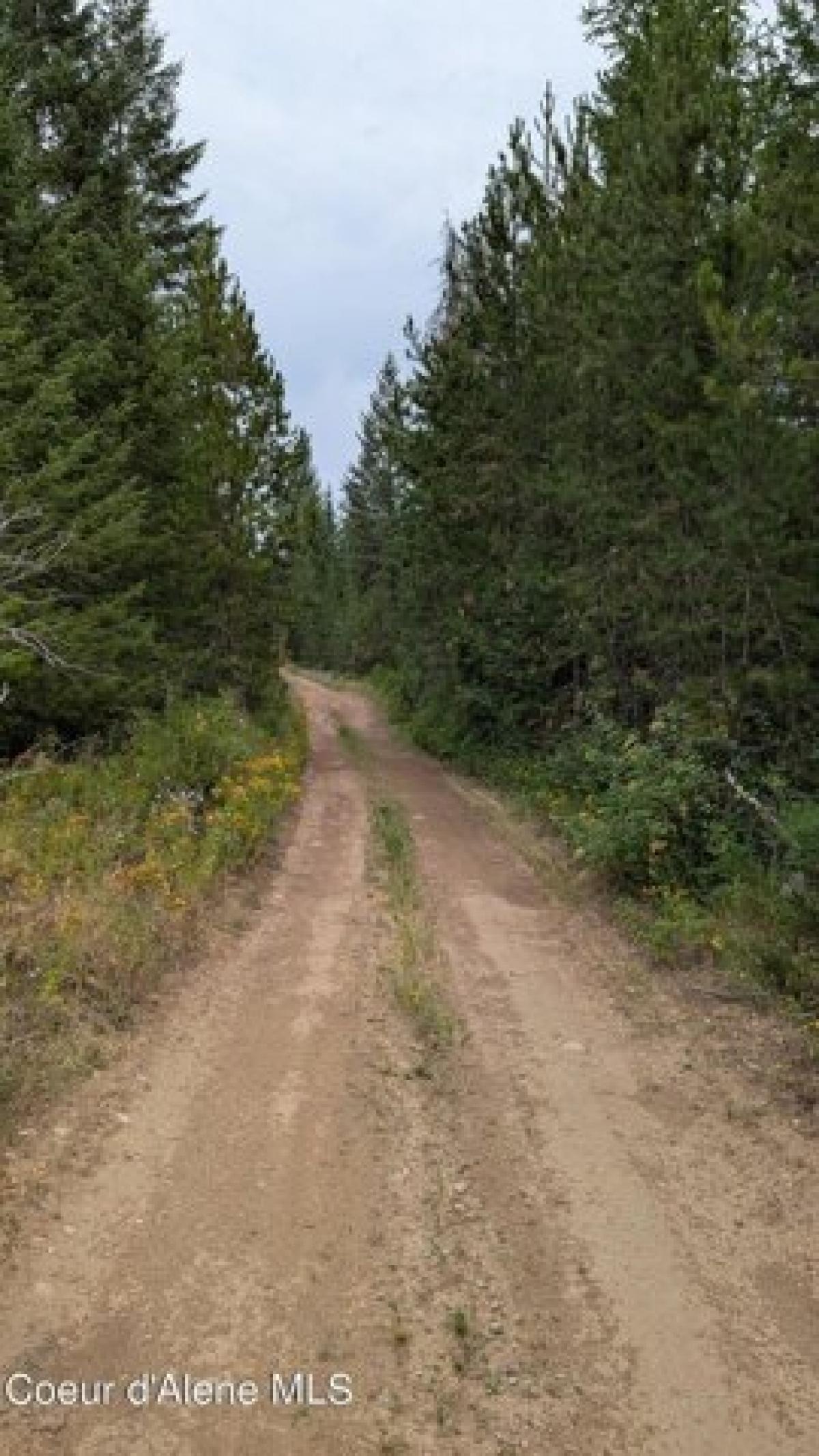 Picture of Residential Land For Sale in Spirit Lake, Idaho, United States