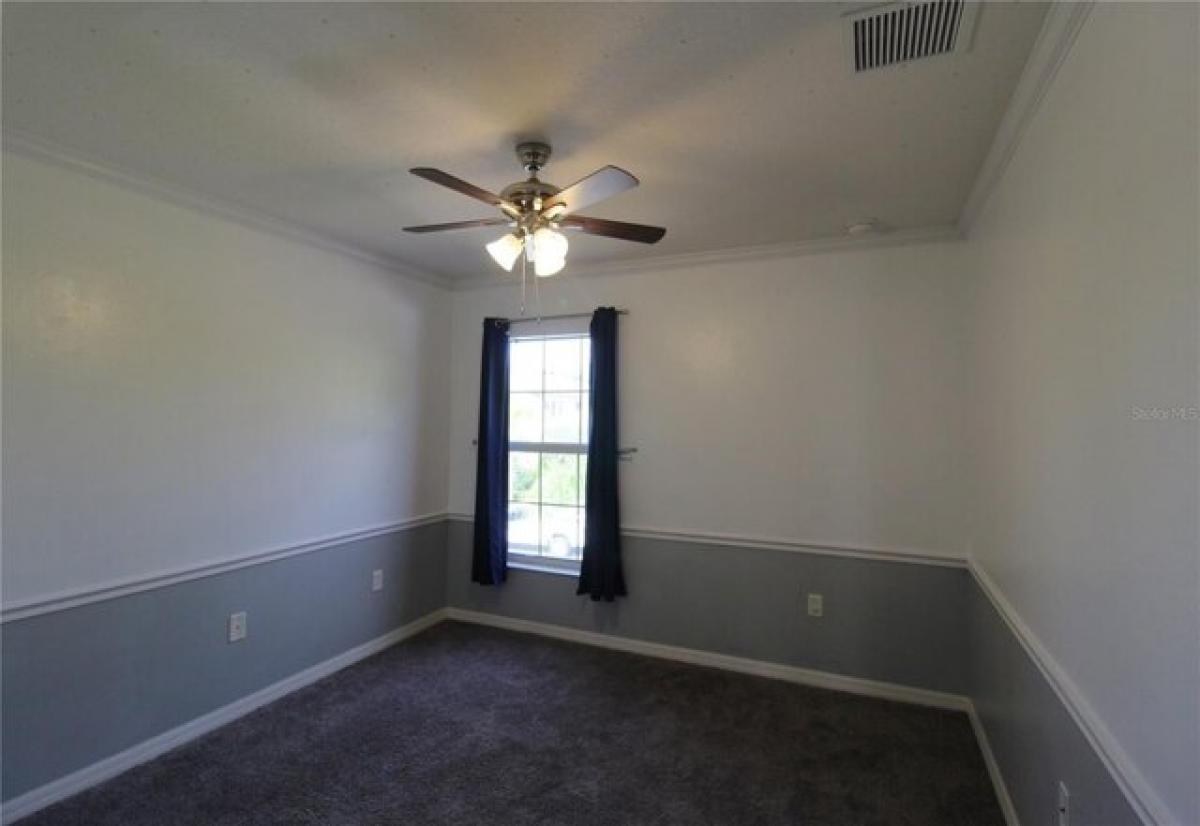 Picture of Home For Rent in Wesley Chapel, Florida, United States