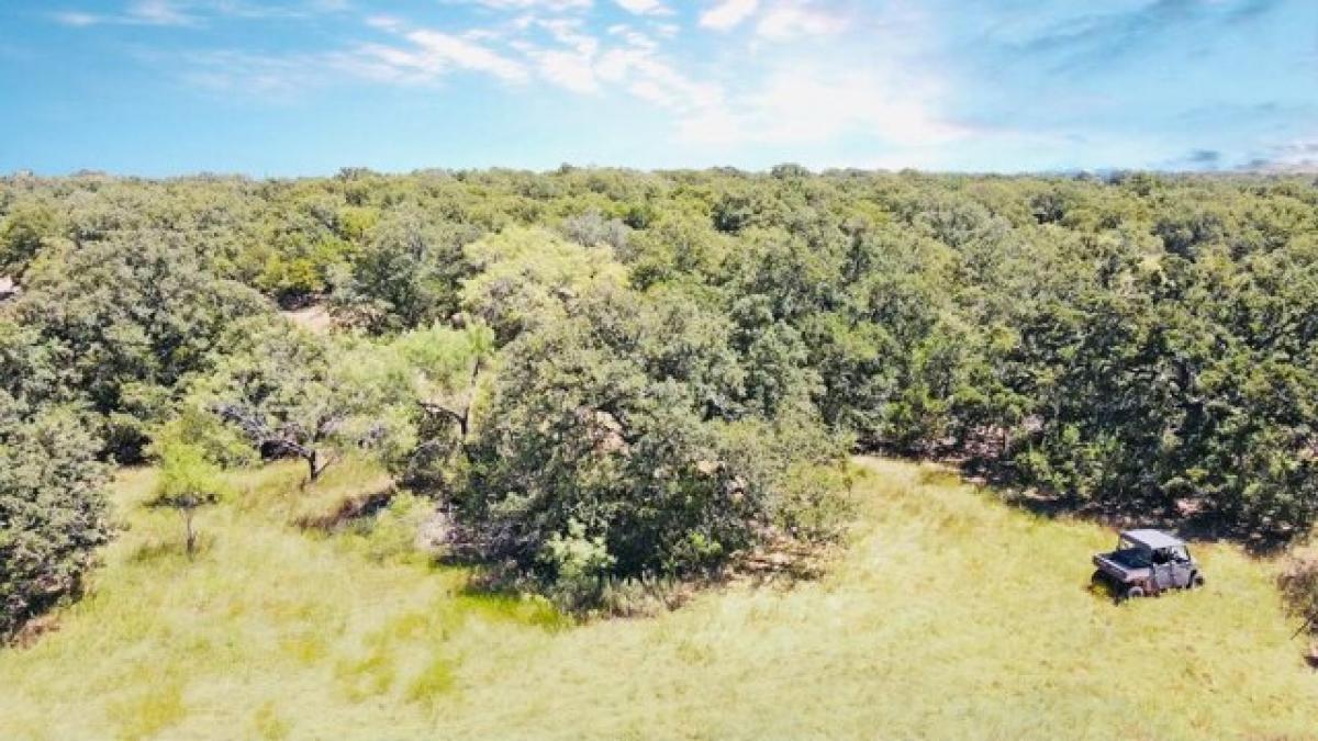 Picture of Residential Land For Sale in Ranger, Texas, United States