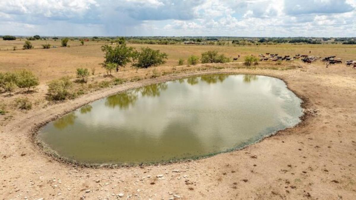 Picture of Residential Land For Sale in Dublin, Texas, United States