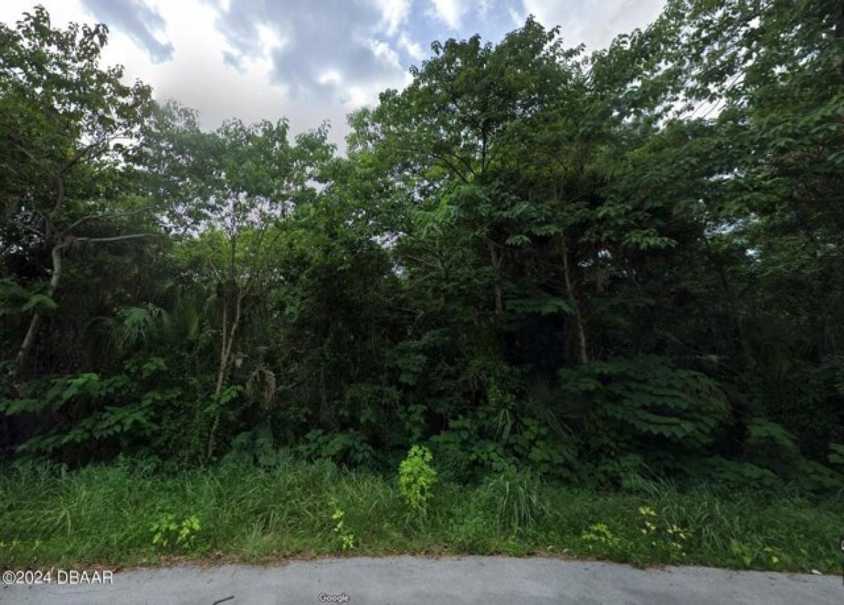 Picture of Residential Land For Sale in De Leon Springs, Florida, United States