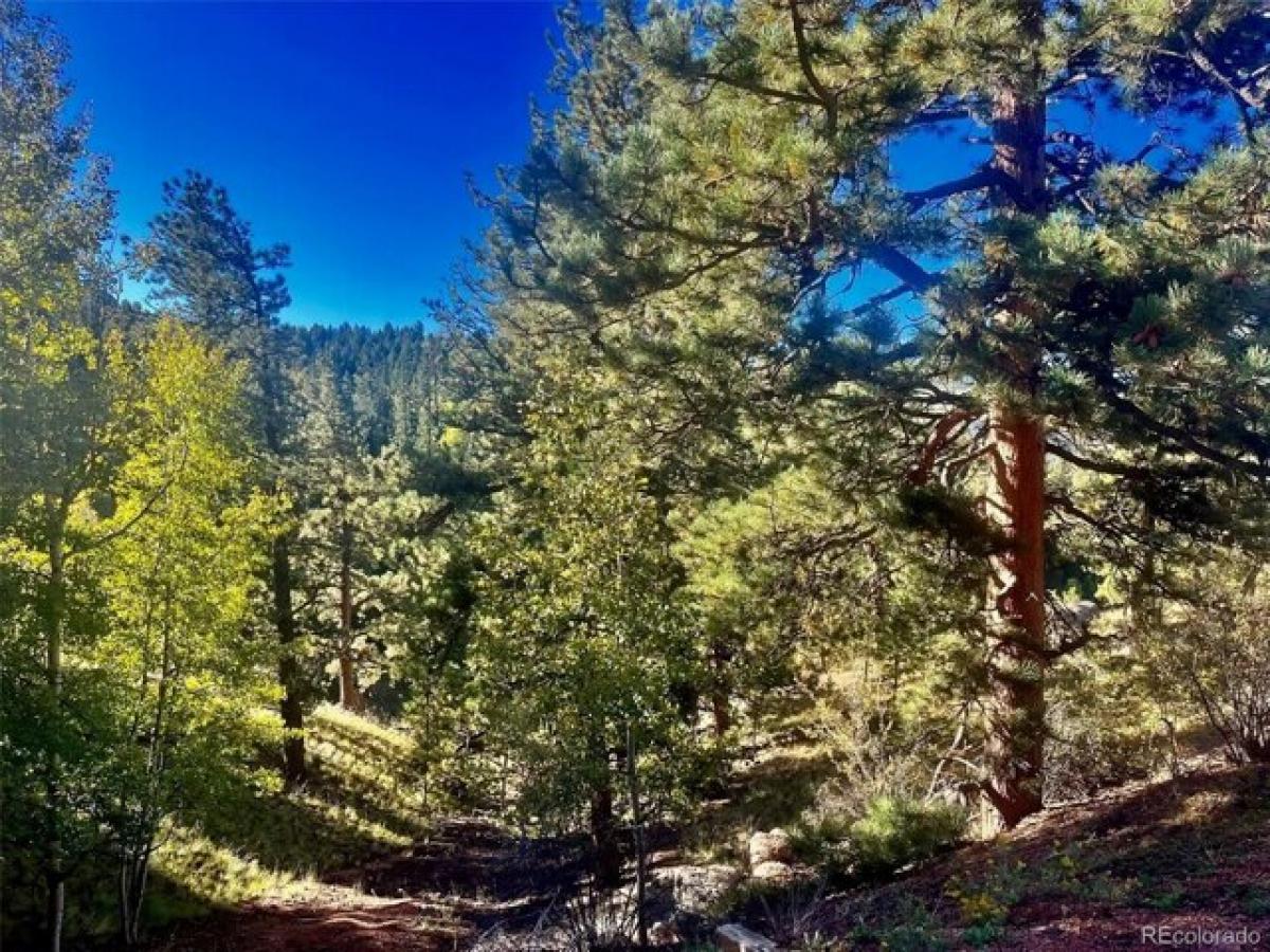 Picture of Residential Land For Sale in Cripple Creek, Colorado, United States