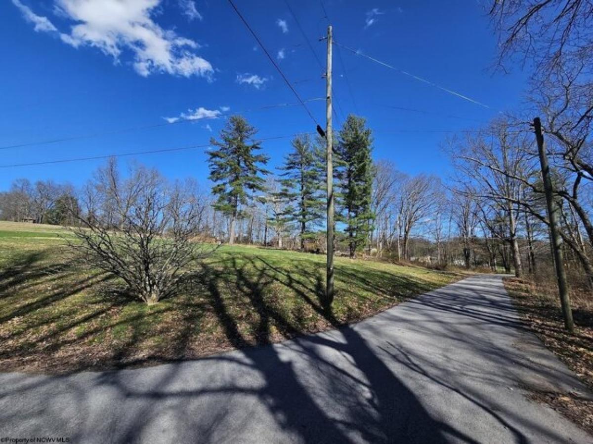 Picture of Residential Land For Sale in Independence, West Virginia, United States