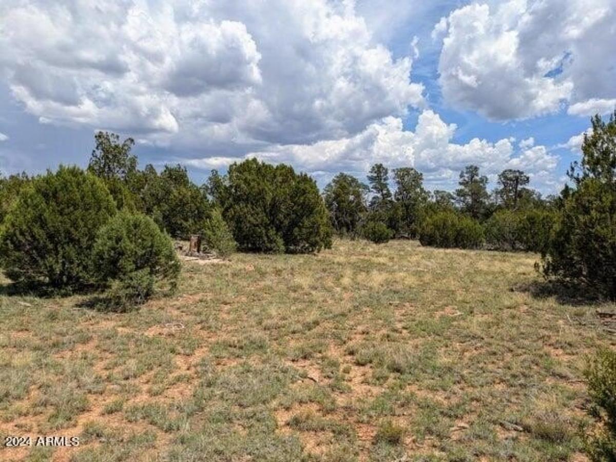 Picture of Residential Land For Sale in Happy Jack, Arizona, United States