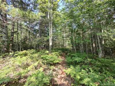 Residential Land For Sale in Manistique, Michigan