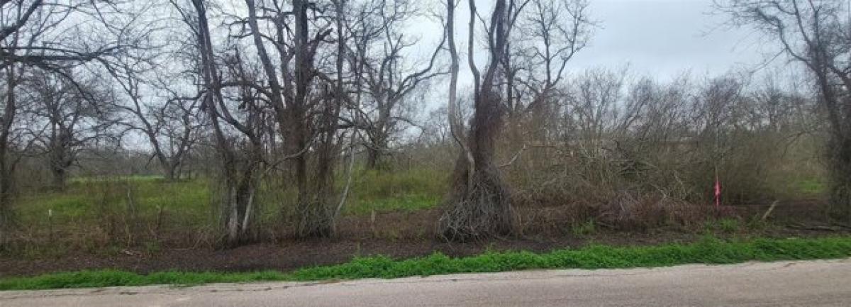 Picture of Residential Land For Sale in Brookshire, Texas, United States