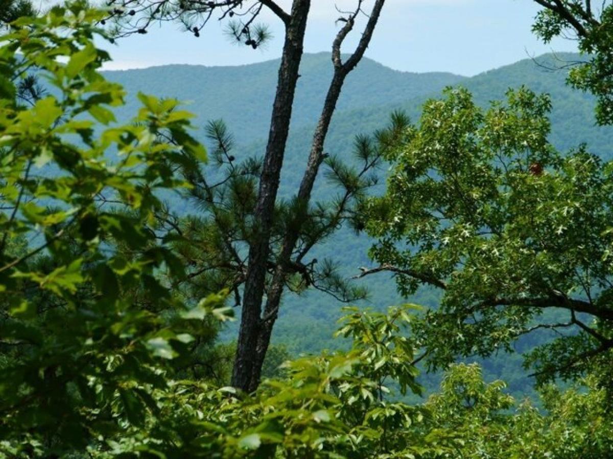 Picture of Residential Land For Sale in Franklin, North Carolina, United States