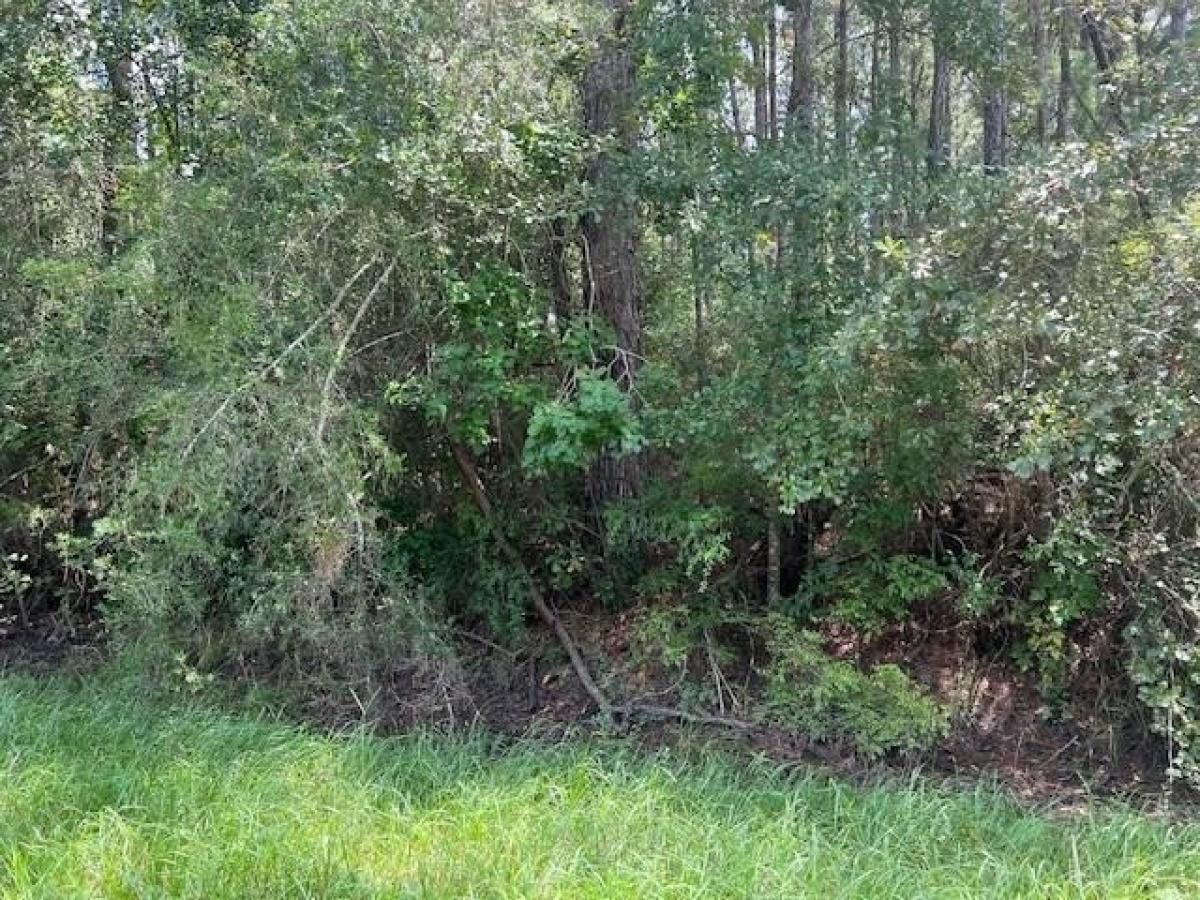 Picture of Residential Land For Sale in Wewahitchka, Florida, United States