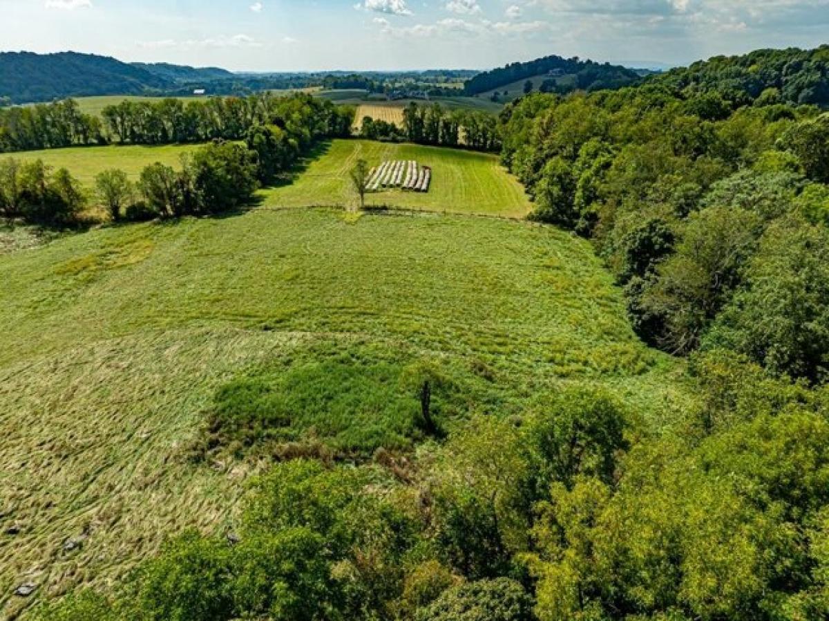 Picture of Home For Sale in Chilhowie, Virginia, United States