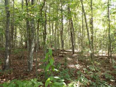 Residential Land For Sale in 