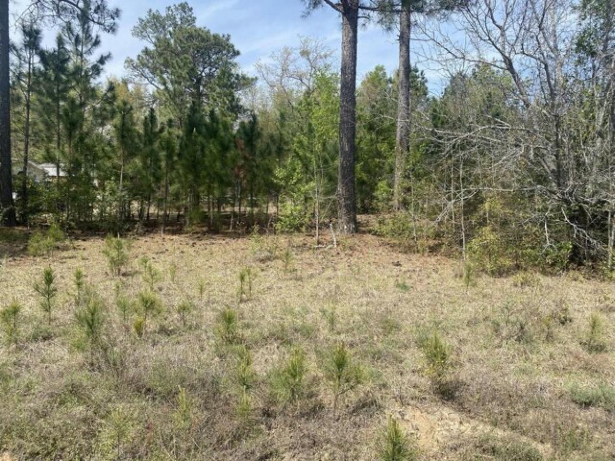 Picture of Residential Land For Sale in Aiken, South Carolina, United States