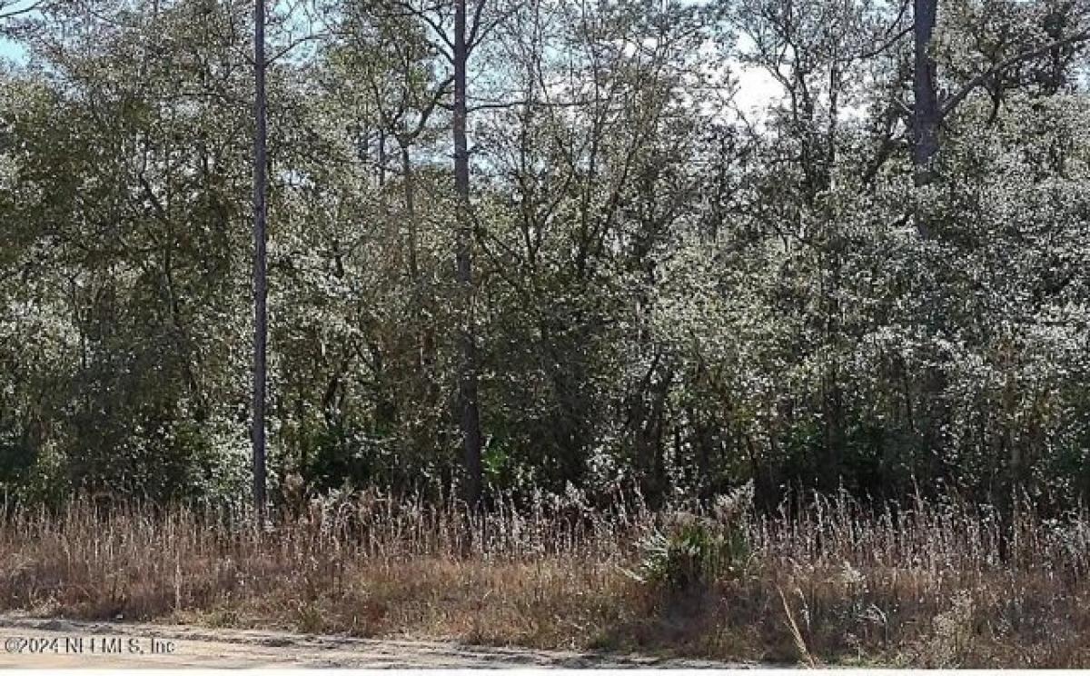 Picture of Residential Land For Sale in Interlachen, Florida, United States