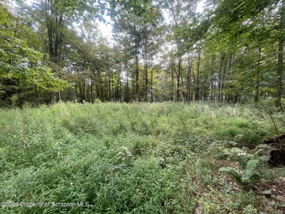 Picture of Residential Land For Sale in Kingsley, Pennsylvania, United States